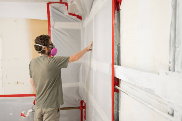 Best Dehumidification Services  in Heyville, AL