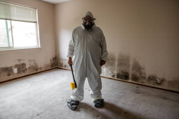 Best Post-Construction Mold Inspection  in Heyville, AL